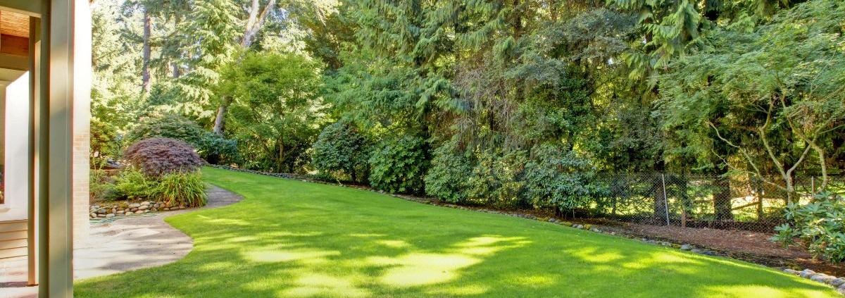 back of home with lush green trees and bushes - Spade Landscaping landscaping tips