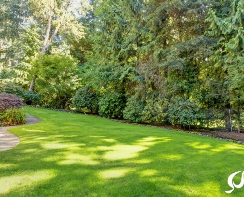 back of home with lush green trees and bushes - Spade Landscaping landscaping tips