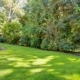 back of home with lush green trees and bushes - Spade Landscaping landscaping tips