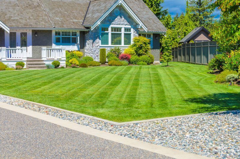front yard of home with fresh mowed grass lines - Spade Landscaping