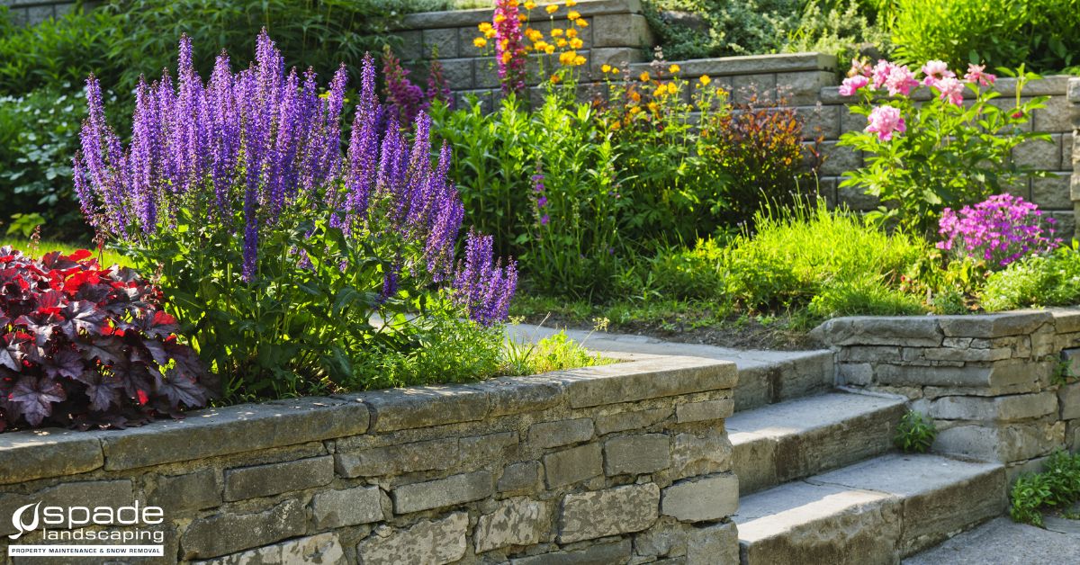 stone retaining walls with flowers and plants - Spade Landscaping Lawn Care Services Near Hugo MN