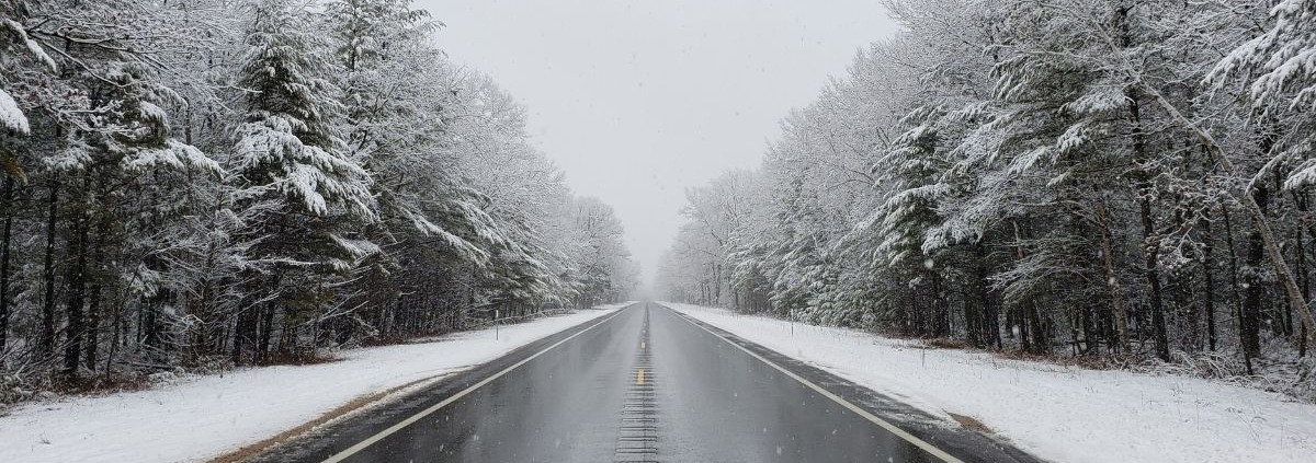 empty road with snow covered trees on both sides - Spade Landscaping commercial snow plowing services