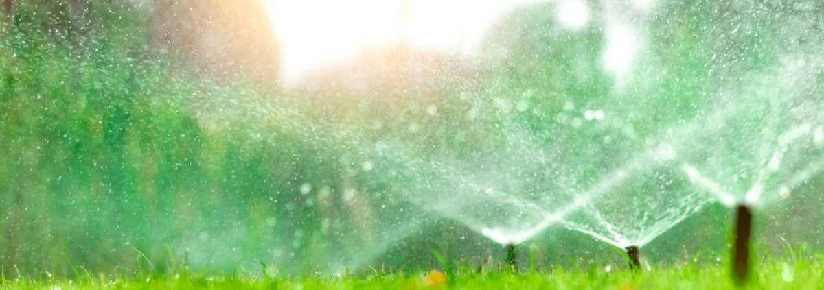 close up of grass with sprinklers spraying water - Spade Landscaping commercial irrigation installations