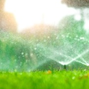 close up of grass with sprinklers spraying water - Spade Landscaping commercial irrigation installations