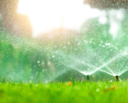 close up of grass with sprinklers spraying water - Spade Landscaping commercial irrigation installations