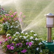 sprinkler spraying water over flowers and grass - Spade Landscaping Lawn Care Services Near Hugo MN